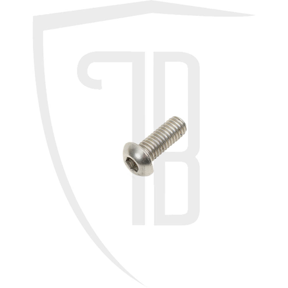 Brembo caliper screw
