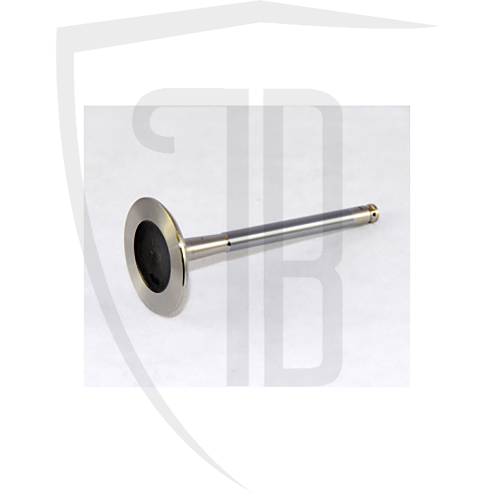 Inlet Valve 8v
