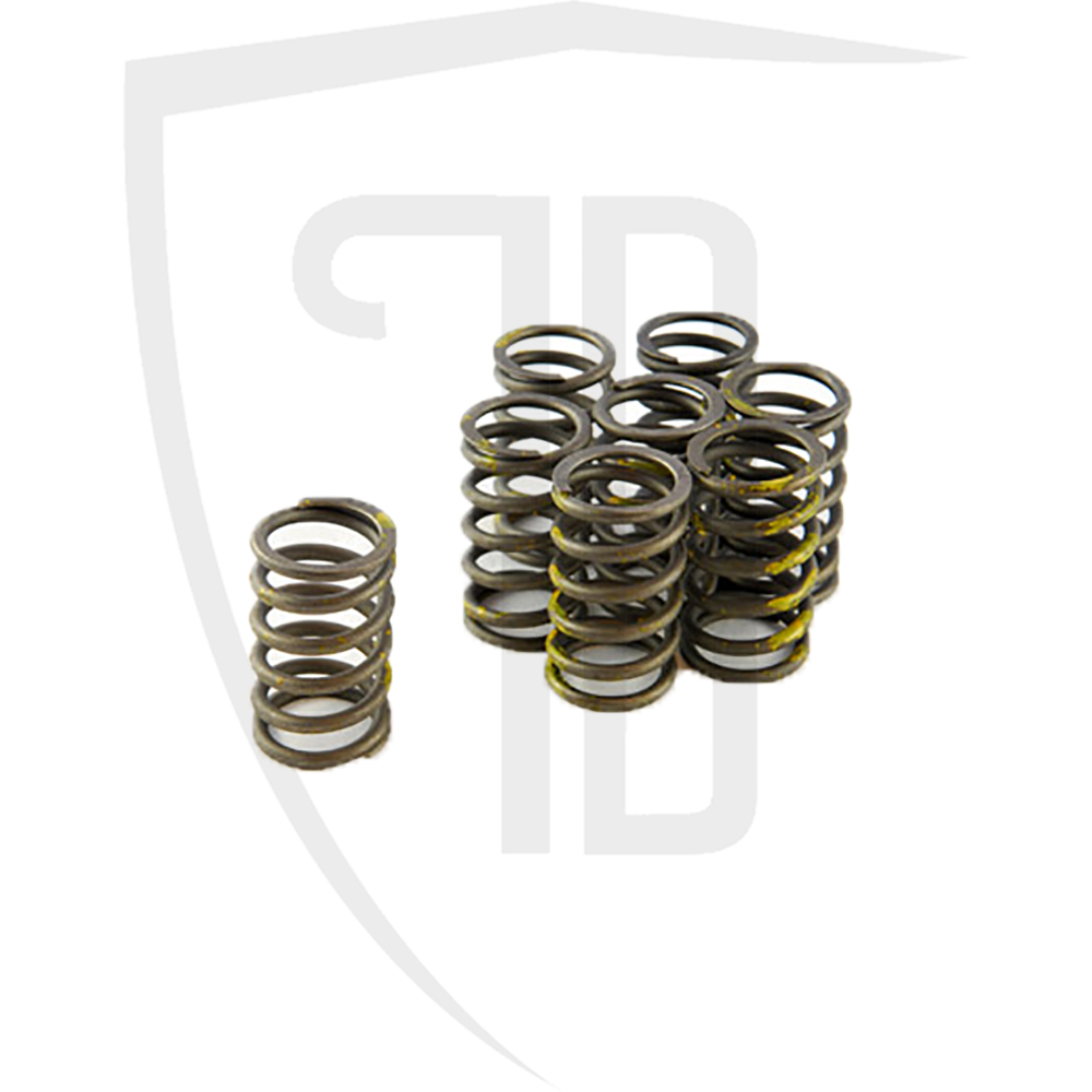 Outer valve spring