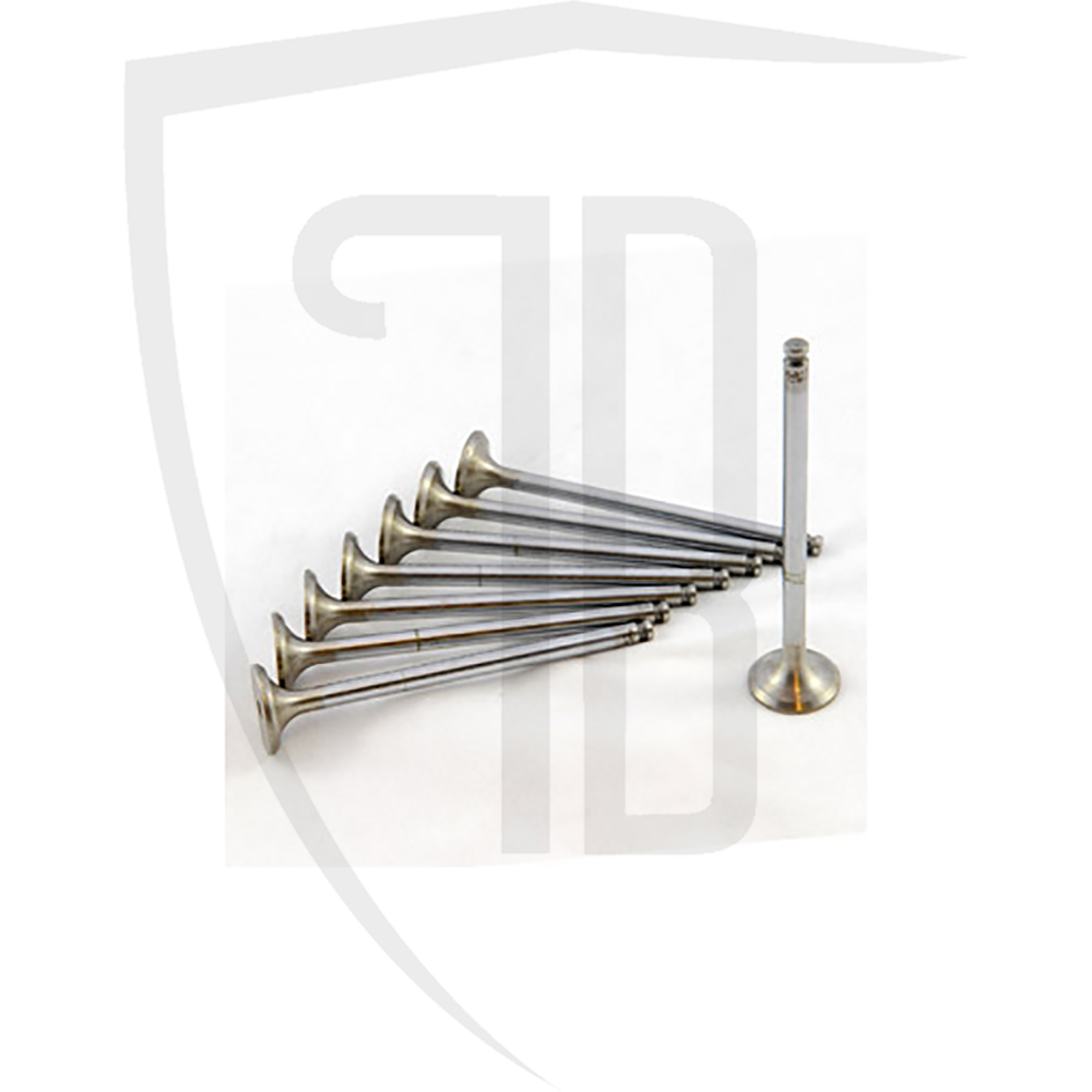 Exhaust valve 16v